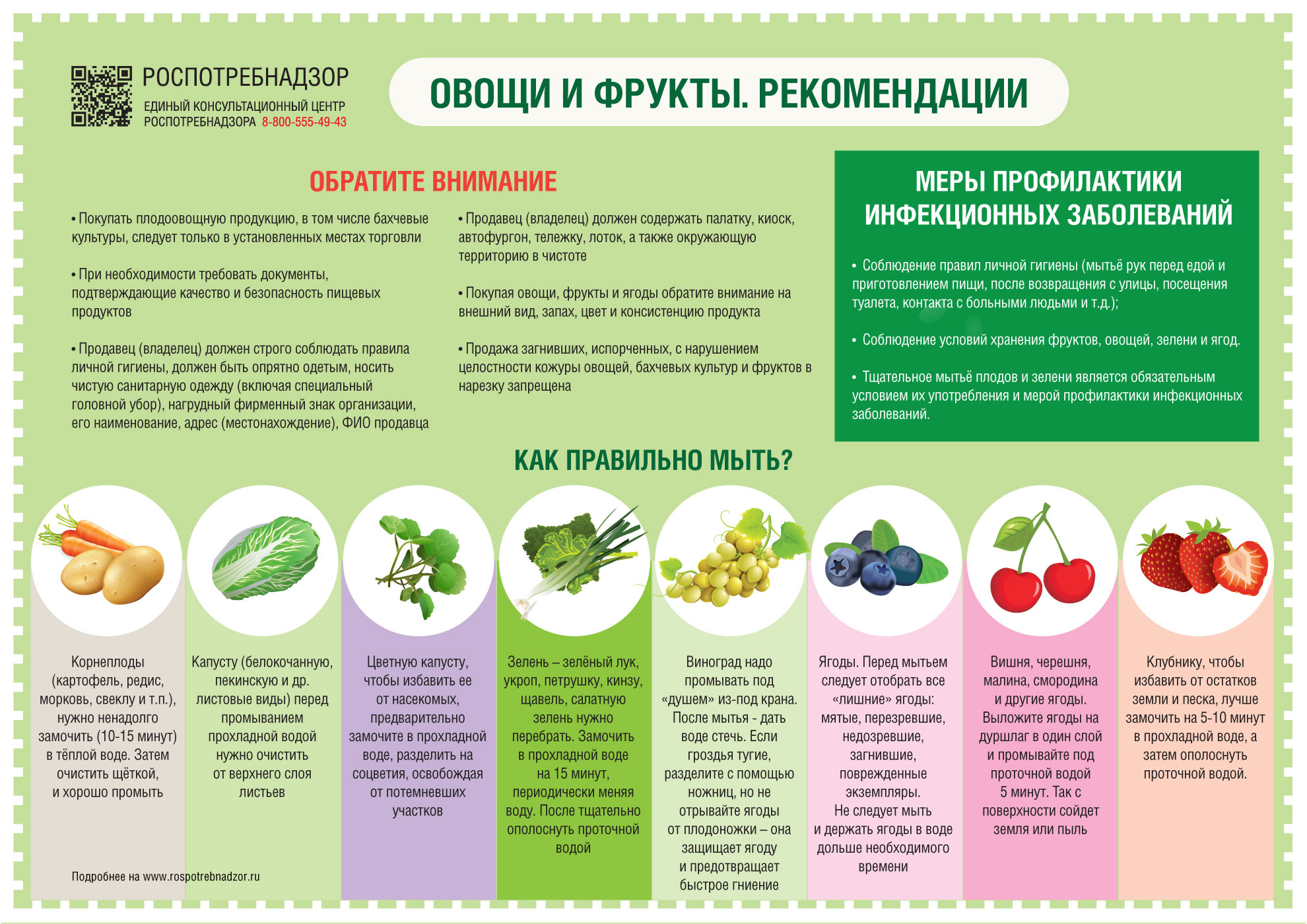 Как выбирать овощи и фрукты чтобы сохранить здоровье советы эксперта