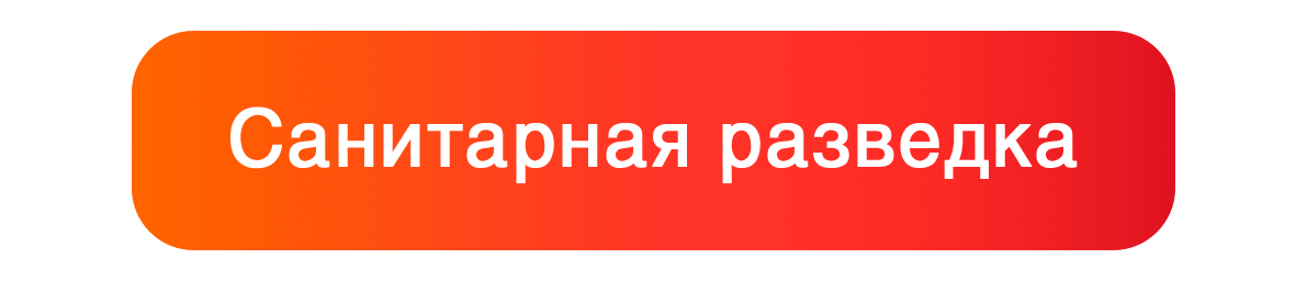 Санитарная разведка